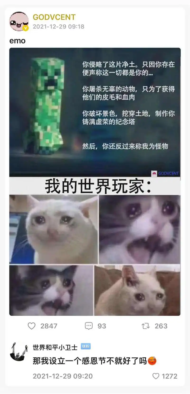 请找出图一的猫猫
