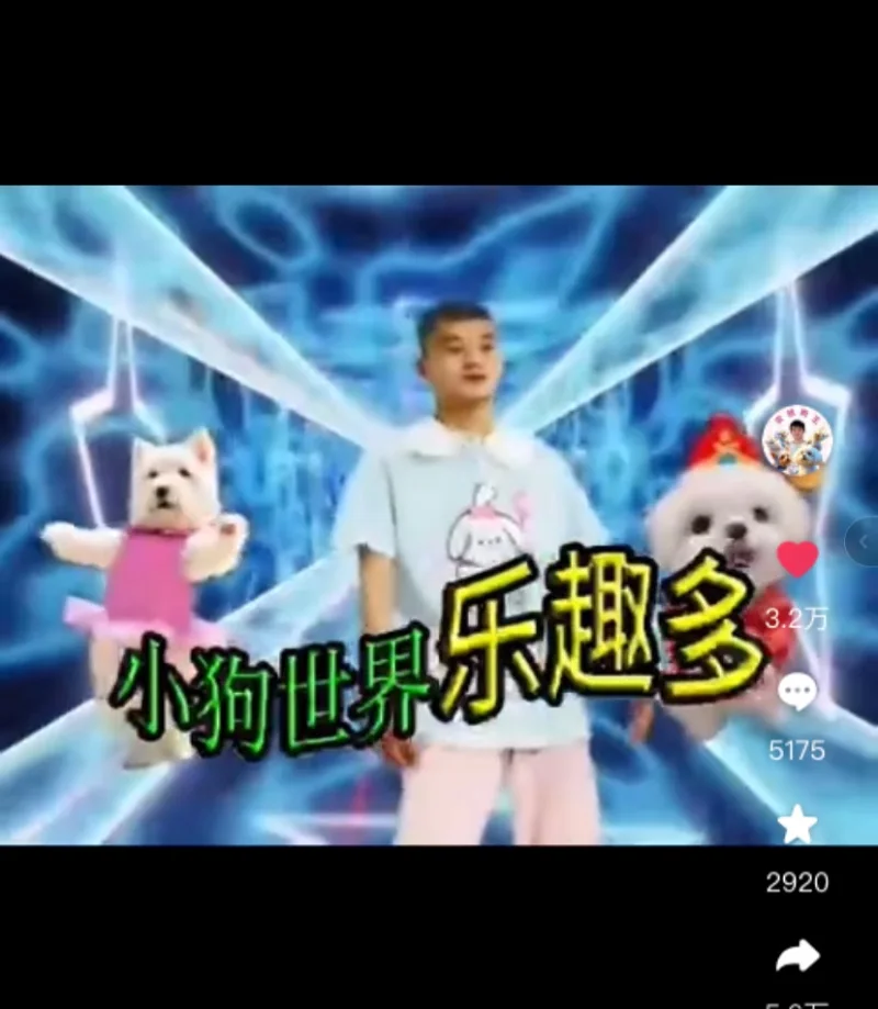 农旭狗狗歌曲～小狗世界乐趣多