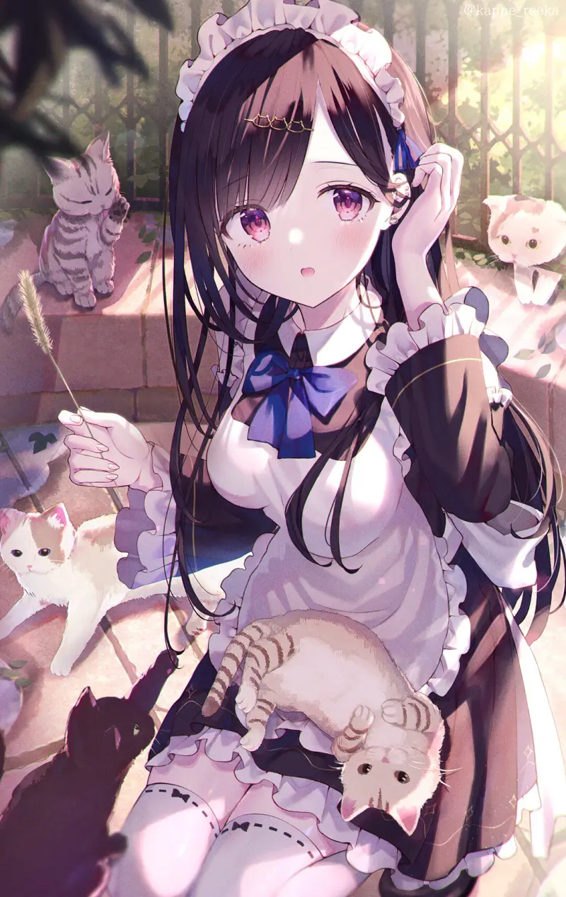 M站美图,画作,DWOZPLACéE