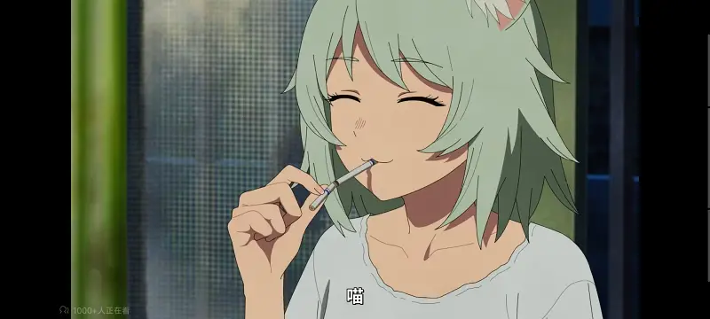 尼古喵喵,雅尼猫,动画,动漫,番剧,日漫,二次元,ACG