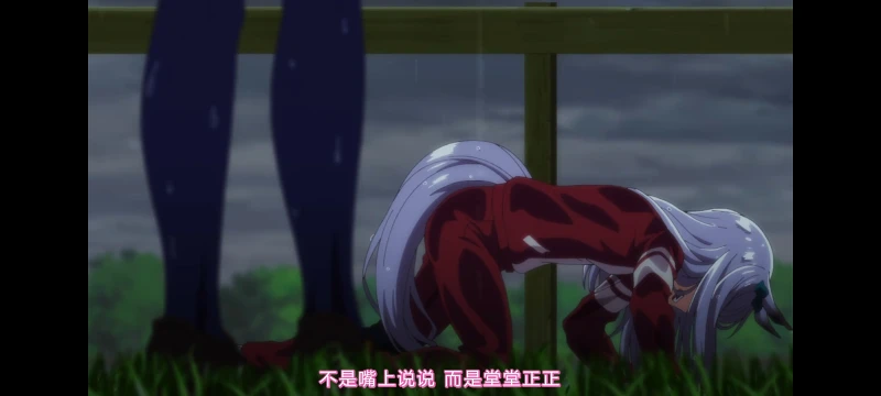 赛马娘,赛马娘第二季,赛马娘PrettyDerby,动画,动漫,番剧,二次元,ACG