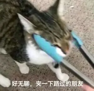 M站是人工审核吗（