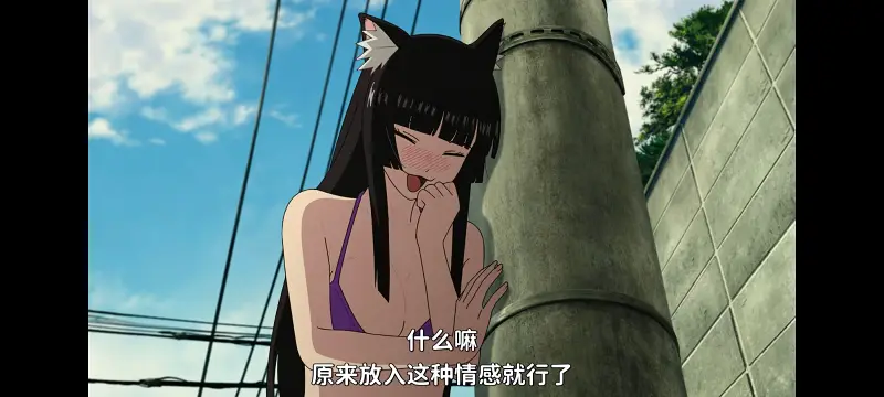 尼古喵喵,雅尼猫,动画,动漫,番剧,ACG,日漫,二次元