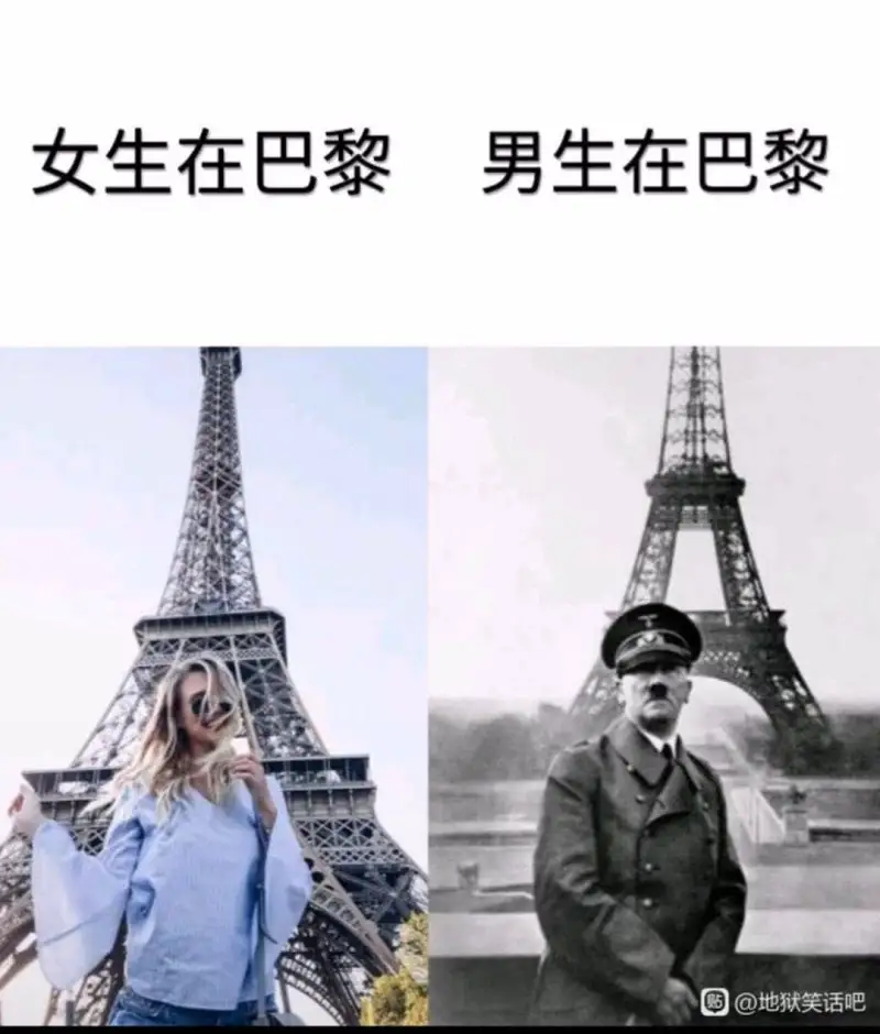 闲聊茶馆,动漫,美女,宠物